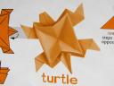 Ideal Turtle