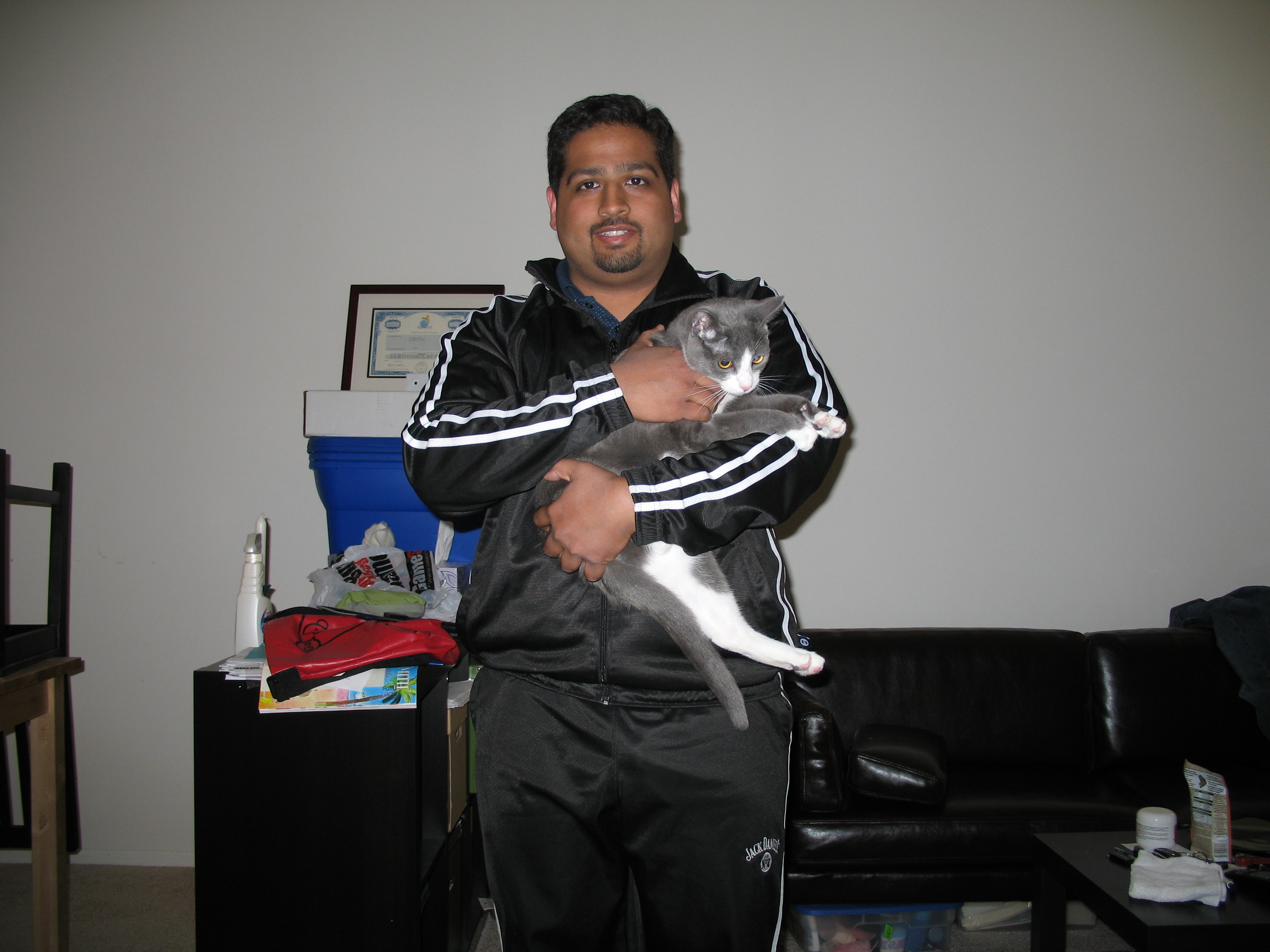 A Cat and a Tracksuit