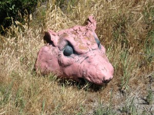Rat Head Rat Head
