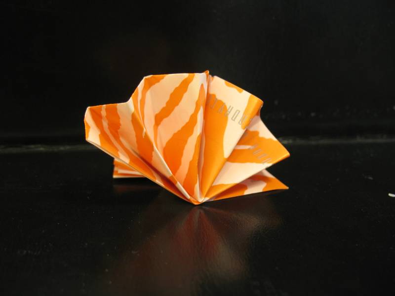 Origami Star Instructions